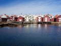 _DSC0043