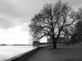 Kalmar Slott i bakgrunden