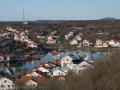 Marstrandson i forgrunden och Koon